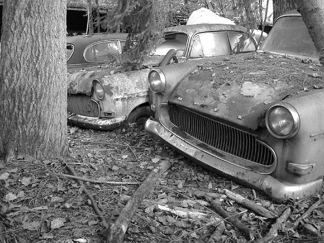 Autofriedhof - 085.JPG - Historischer Autofriedhof,    Gürbetal (CH)